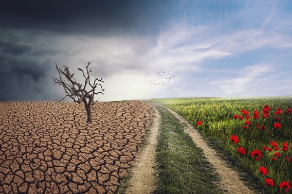 Climate change implications for real estate investing